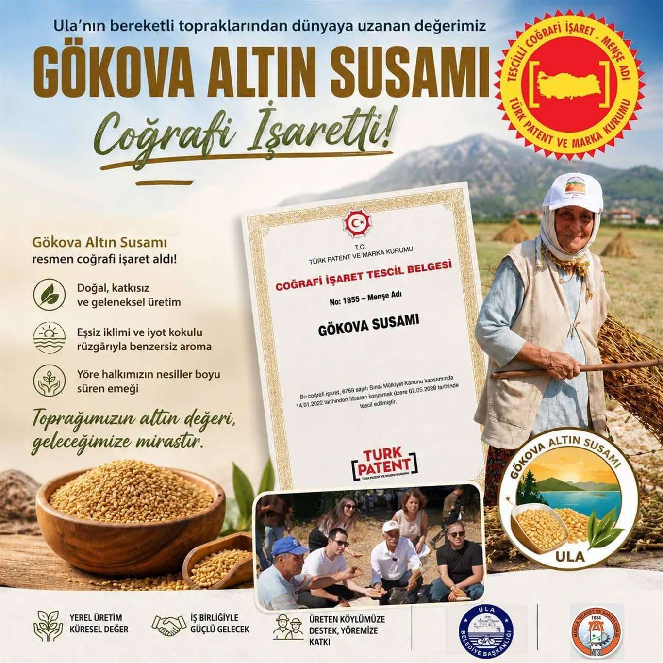    Gökova Altın Susamı tescillendi haberi